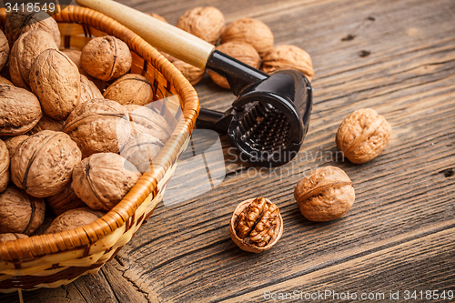 Image of Walnuts