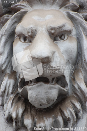 Image of Lion