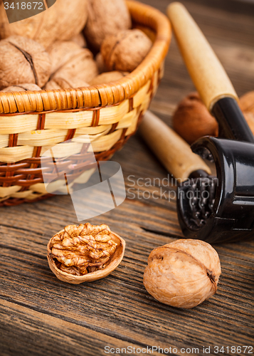Image of Ripe walnuts