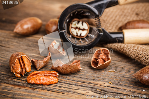 Image of Pecan nut