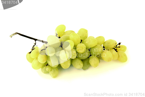 Image of fresh grapes
