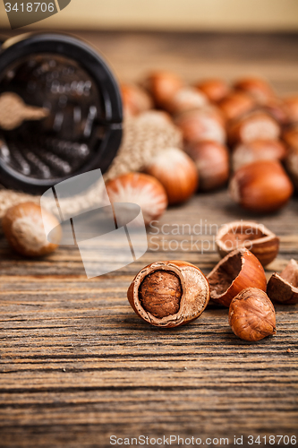 Image of Hazelnuts 