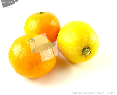 Image of lemon and mandarin