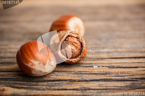 Image of Hazelnuts 