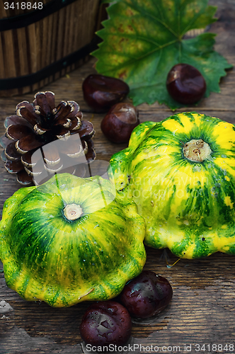Image of still life with autumn squash