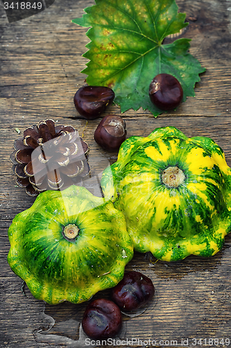 Image of still life with autumn squash