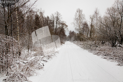Image of Winter Road