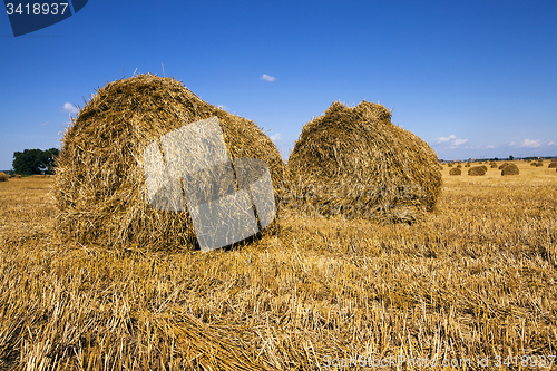 Image of straw stack  