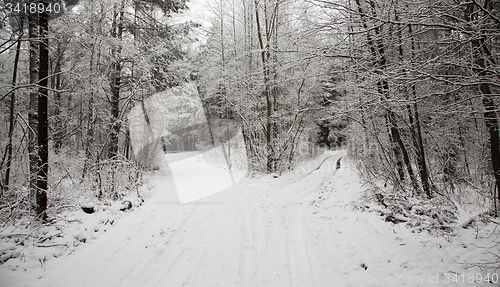 Image of the winter road  