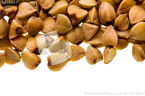 Image of grain buckwheat