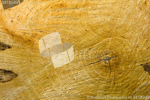 Image of sawn wood