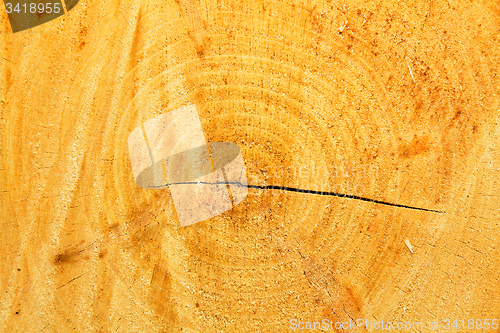 Image of sawn wood