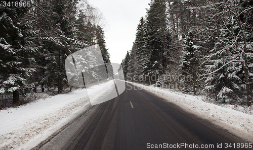 Image of the winter road in the wood 