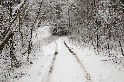 Image of the winter road 