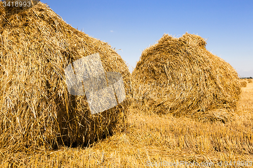 Image of straw stack 