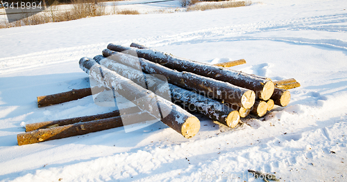 Image of snow-covered logs