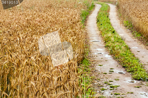 Image of after a rain  