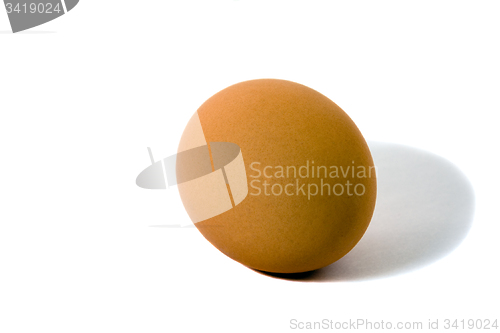 Image of yellow egg