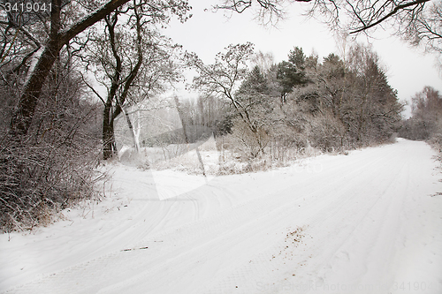 Image of Winter Road