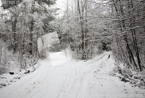 Image of the winter road  