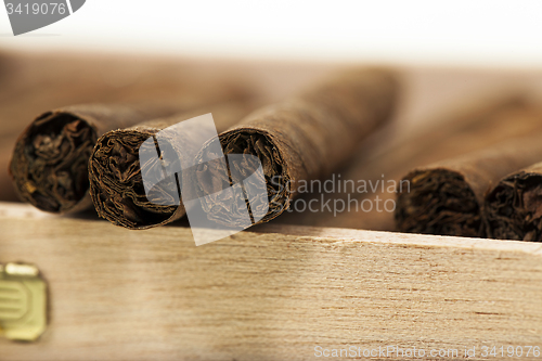 Image of cigars in a box  