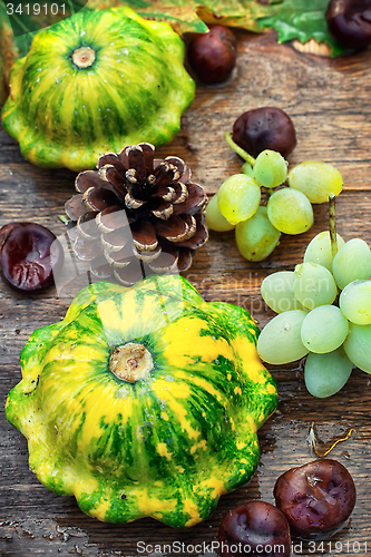 Image of still life with autumn squash
