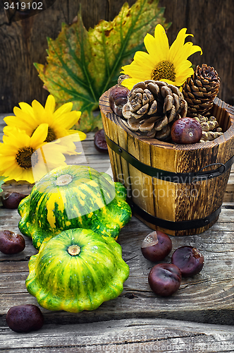 Image of still life with autumn squash