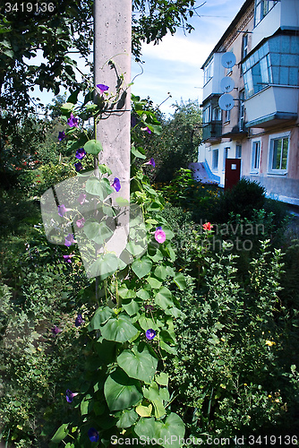 Image of concrete pole