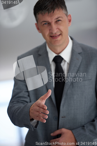 Image of business man portrait