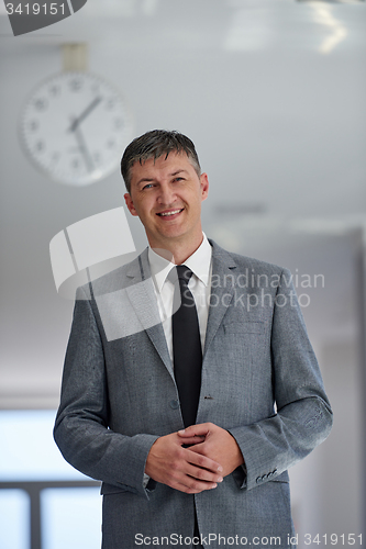 Image of business man portrait