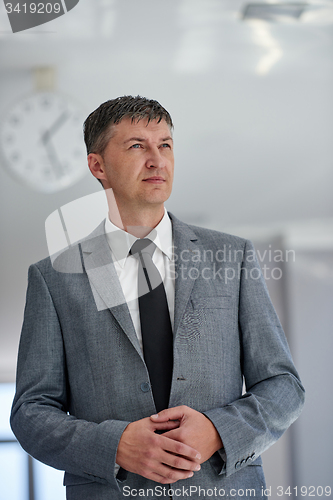 Image of business man portrait