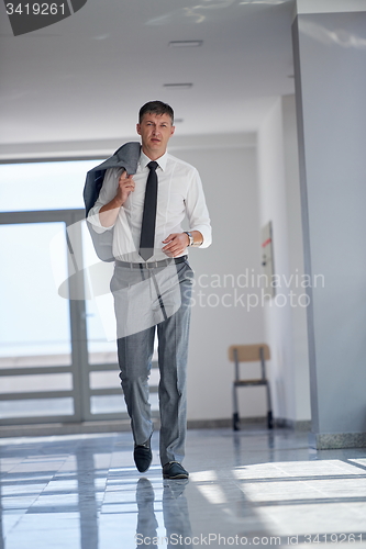 Image of business man portrait