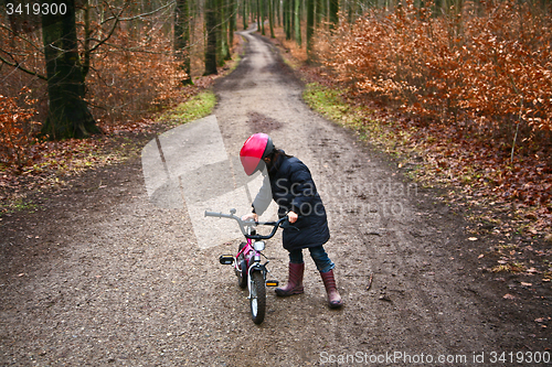 Image of Child in a forest on bike in denmark