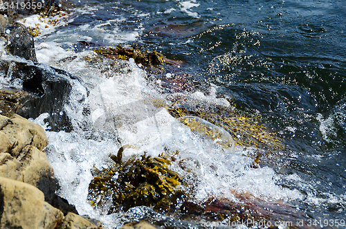 Image of water to foam