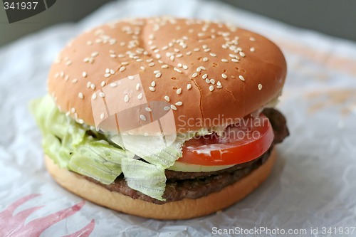 Image of Fastfood hamburger