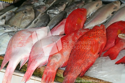 Image of Fish market