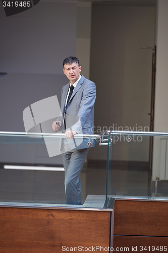 Image of business man portrait
