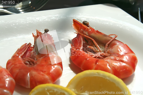 Image of Cooked prawns