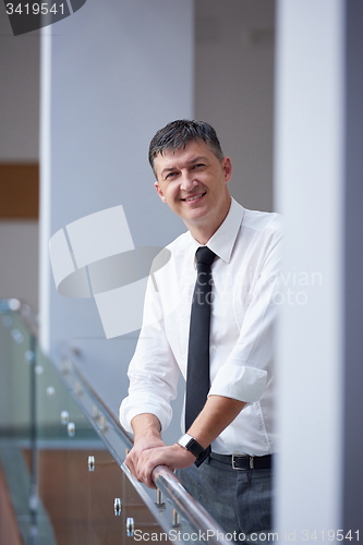Image of business man portrait