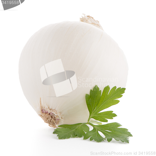 Image of Onion and parsley 