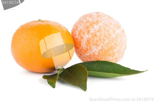 Image of Ripe tangerine or mandarin