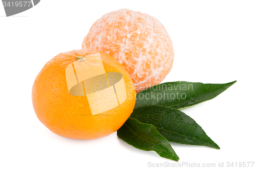 Image of Ripe tangerine or mandarin