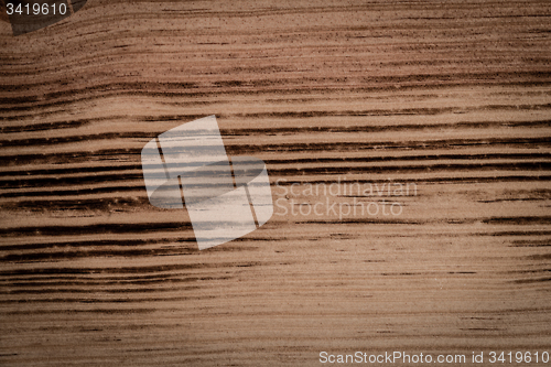 Image of  Burned pine wood background