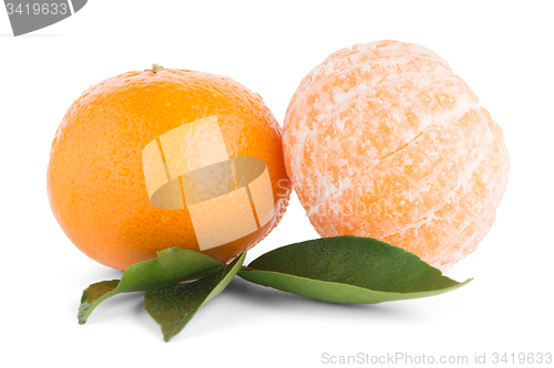 Image of Ripe tangerine or mandarin