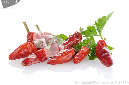 Image of Red chili or chilli pepper and parsley leaves