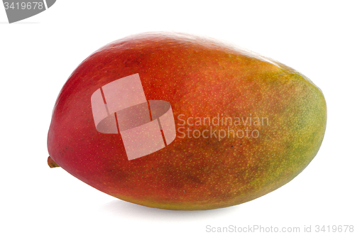 Image of Mango fruit