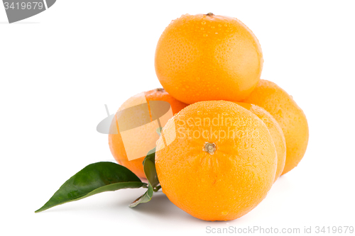 Image of Ripe tangerine or mandarin