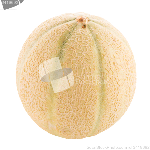 Image of Honeydew melon