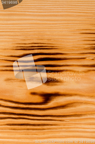 Image of  Burned pine wood background