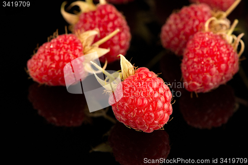 Image of Fresh raspberries